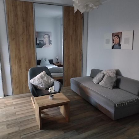Centar Novi Sad-Apartman No 1 Εξωτερικό φωτογραφία